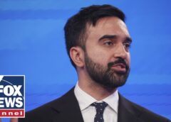 ‘Socialist is running the table’: Former Bernie advisor sounds alarm on Mamdani